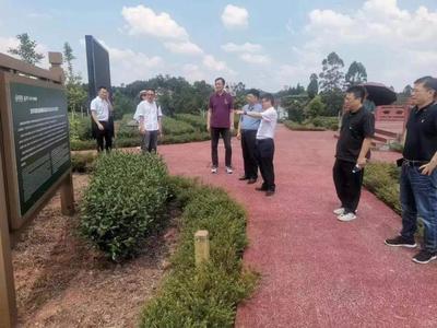 四川省科技與藝術(shù)融合發(fā)展促進(jìn)會(huì)三茶統(tǒng)籌譜新篇 赴省茶業(yè)集團(tuán)構(gòu)畫文化科技賦能新圖景